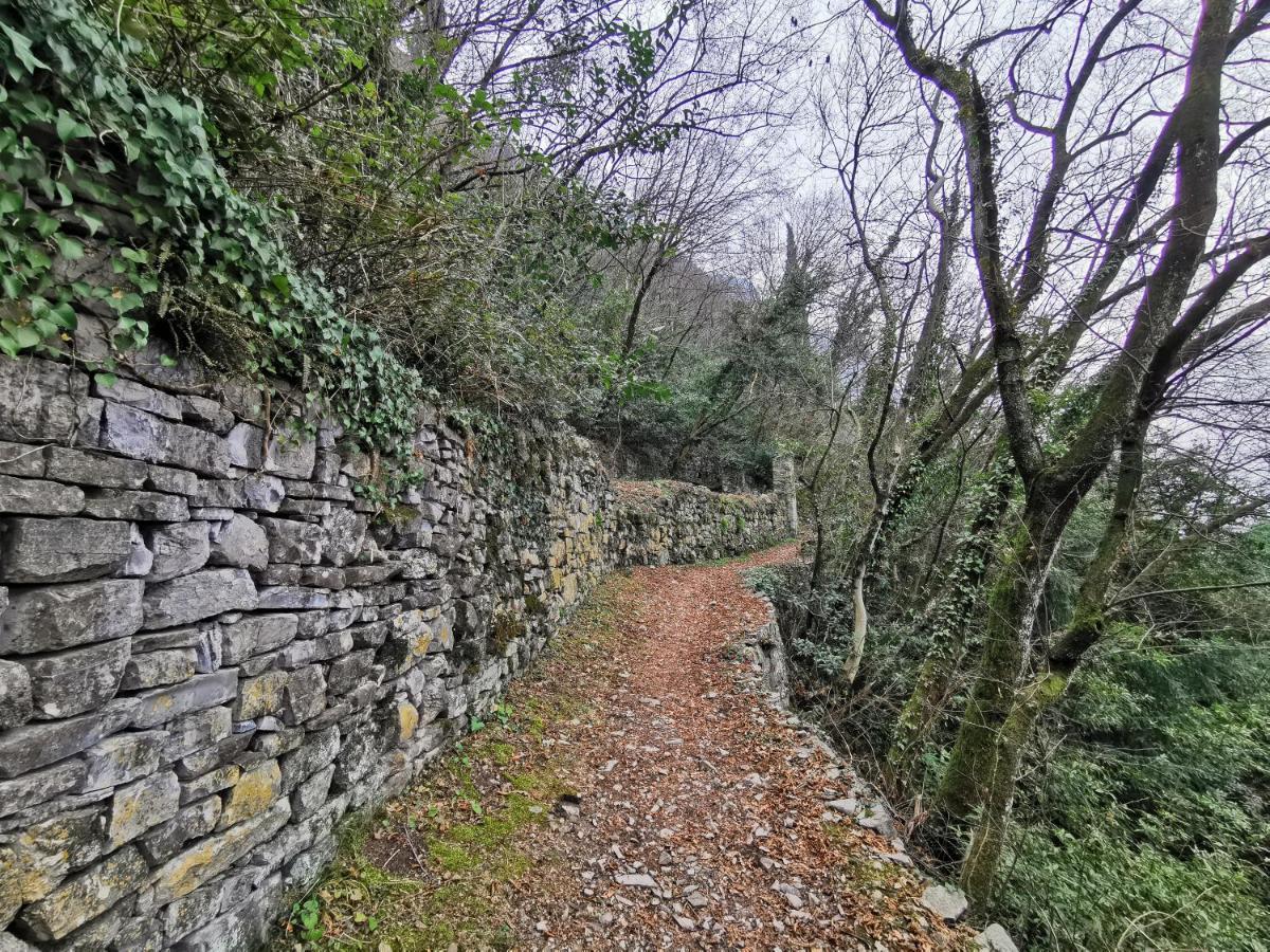 Near Villa Monastero And Castello Di Vezio Varenna Exterior foto